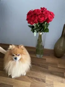 Charlie