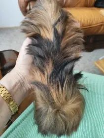 Chlapec