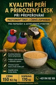 Snadnější přepeřování papoušků a astrildů