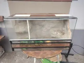 Terarium