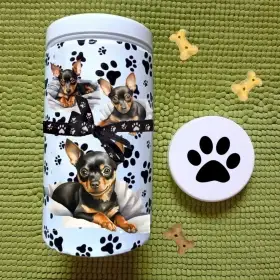 ukázka pražský krysařík