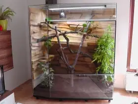 Terarium pro leguána za rozebrání a odvoz