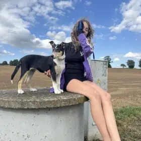 Štěňátka krátkosrsté kolie