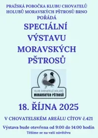 Speciální výstava Moravských pštrosů