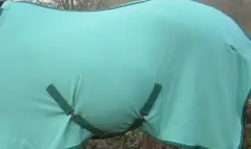 Výbava pro velkého koně