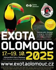 Speciální slevy na Exotě Olomouc