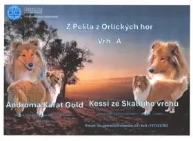 Prodám