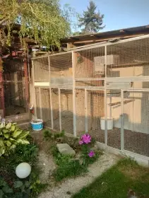 Prodám volieru s al profilů,rozebiratelná