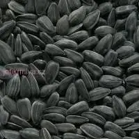 Prodám proso žluté  a slunečnici černou