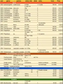 seznam mravenců a dalších