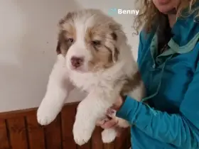 Benny