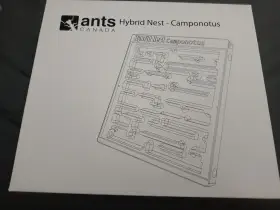 Vybavení k chovu mravenců od AntsCanada