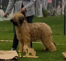 Ještě máme volné holčičky