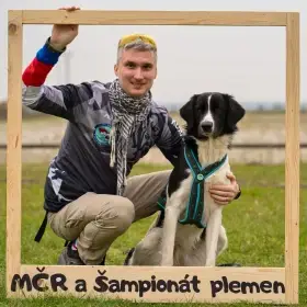 Český horský pes - spojení černá fena a žlutý (hnědý) pes