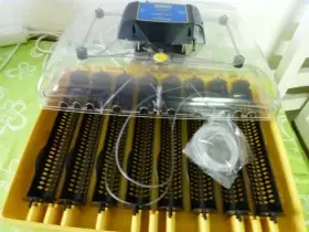 Líheň Brinsea 56 ex