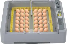 Lihen poloautomat 36 slepicich vajec
