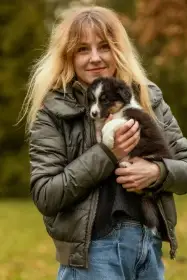 Brax Australaland - australský ovčák s PP