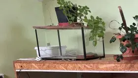 Prodám terárium/akvarium