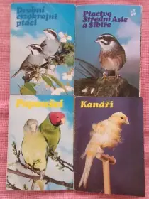 Sady pohlednic ptactva: kanáři, papoušci...