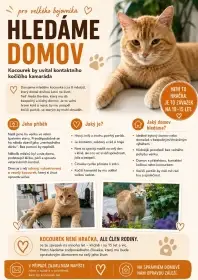 Nabízím nalezeného kocourka, zdarma