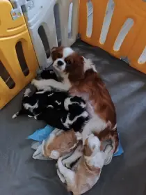 Ranní péče ❤️