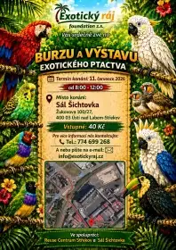 Burza exotického ptactva