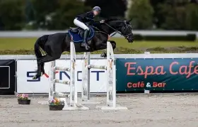 Kvalitní sportovní klisna ČT, výkonnost 120, výborný charakt