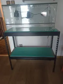 Terárium