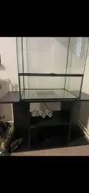 pohled z odstupu