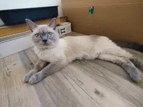 Matka