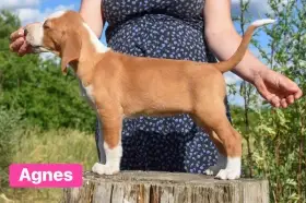 Agnes v 7,5 týdnech