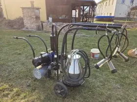 Prodám dojičku mléka