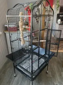 Prodám prostornou klec pro papouška 60x60x160 cm – černá