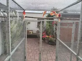 Prodám