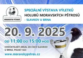 Klubová výstava výletků moravských pštrosú