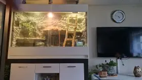 Prodám terárium