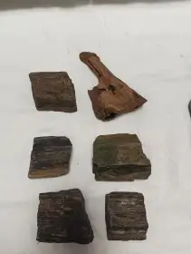 Prodám sadu akvarijních kamenůkořen