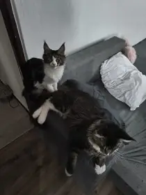 Se starším bratrem