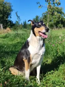 maminka Briana Skalský vrch