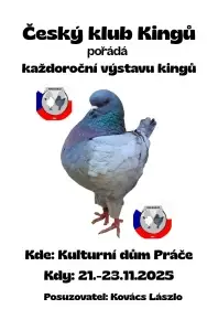 King show práče u znojma - 800 holubů kingů