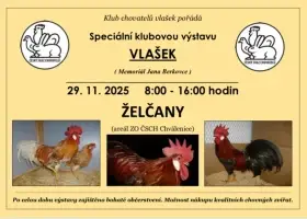 Speciální výstava vlašek