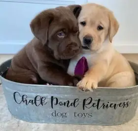 Hledám spřízněnou duši.