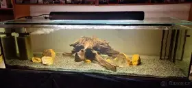 Prodám velké akvária
