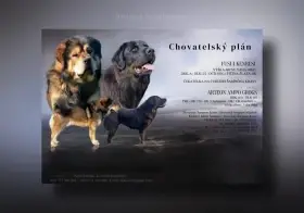 Rezervace Tibetská doga