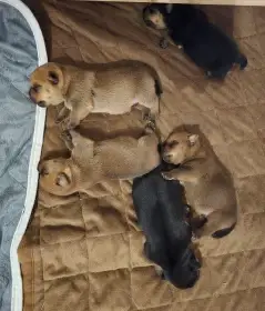 Zatím nejraději jíme a odpočíváme