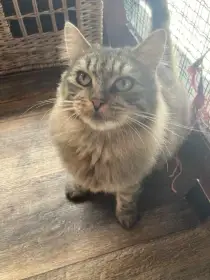 Edmond a Bára hledají domov