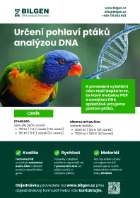 Určení pohlaví ptáků analýzou dna - sady a poštovné zdarma - bilgen s.r.o.
