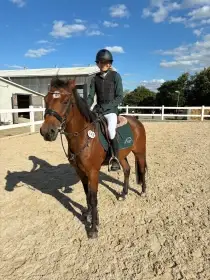 Sportovní pony kategorie B