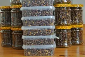 Perga ve vaničkách