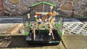 Klec JK Animals 35x52x65cm